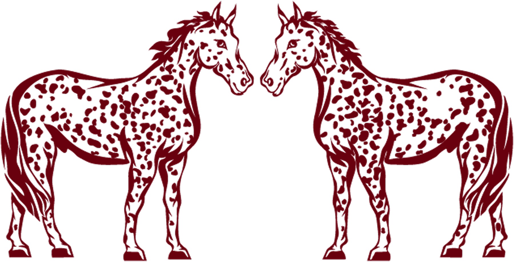 appaloosa
